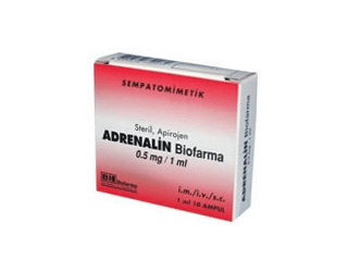 ADRENALIN 0,5 MG 10 AMPUL