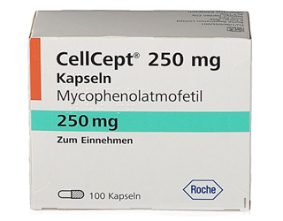 CELLCEPT ROCHE 250 MG 100 KAPSUL