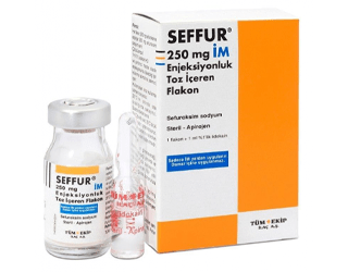 SEFFUR 250 MG IM ENJEKSIYONLUK TOZ ICEREN FLAKON
